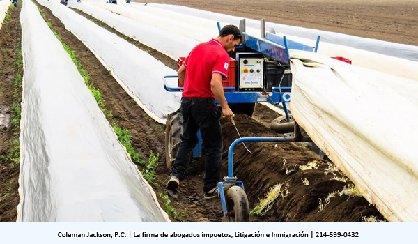 Como contratar trabajadores temporales de agricultura basados en la visa H2A? 